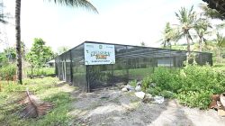 Kado Hijau untuk Bumi Sabalong Samalewa: Bank NTB Syariah Dorong Kemandirian Bibit dan Ekonomi Lokal