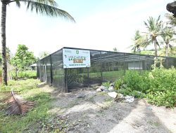 Kado Hijau untuk Bumi Sabalong Samalewa: Bank NTB Syariah Dorong Kemandirian Bibit dan Ekonomi Lokal