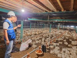 Tarif Listrik Tetap di Triwulan II 2026, Pemerintah Prioritaskan Stabilitas Ekonomi dan Kepastian Usaha