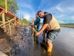 PLN NTB Tanam 4.000 Mangrove di Lombok Timur, Perkuat Benteng Pesisir Hadapi Perubahan Iklim