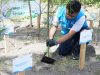 PLN dan Pemda Bersatu Hijaukan Pantai Induk, Ribuan Pohon Ditanam Demi Masa Depan Pesisir NTB