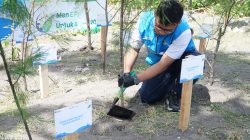 PLN dan Pemda Bersatu Hijaukan Pantai Induk, Ribuan Pohon Ditanam Demi Masa Depan Pesisir NTB