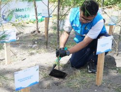 PLN dan Pemda Bersatu Hijaukan Pantai Induk, Ribuan Pohon Ditanam Demi Masa Depan Pesisir NTB