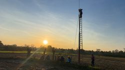 Seluruh Program Pompanisasi di Sumbawa Menyala 100 Persen, PLN Perkuat Ketahanan Pangan